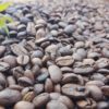 Tribal Coffee Arabica Beans
